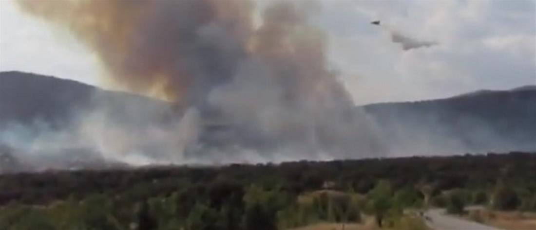 Μεγάλη φωτιά στην Κοζάνη (βίντεο)
