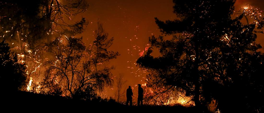 Συγκλονιστική δορυφορική φωτογραφία της φωτιάς στην Εύβοια (εικόνα)