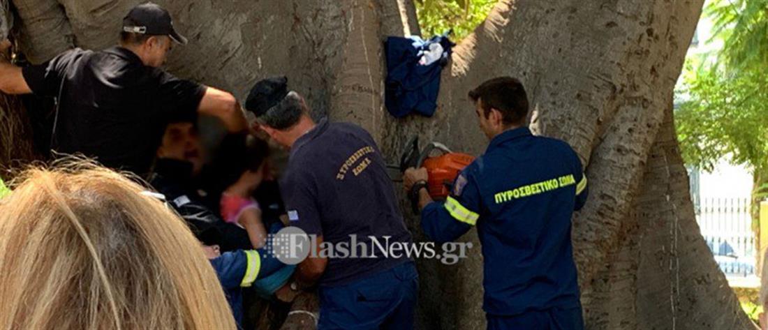 Επιχείρηση πυροσβεστών για αγόρι που “σφήνωσε” σε δέντρο (εικόνες)