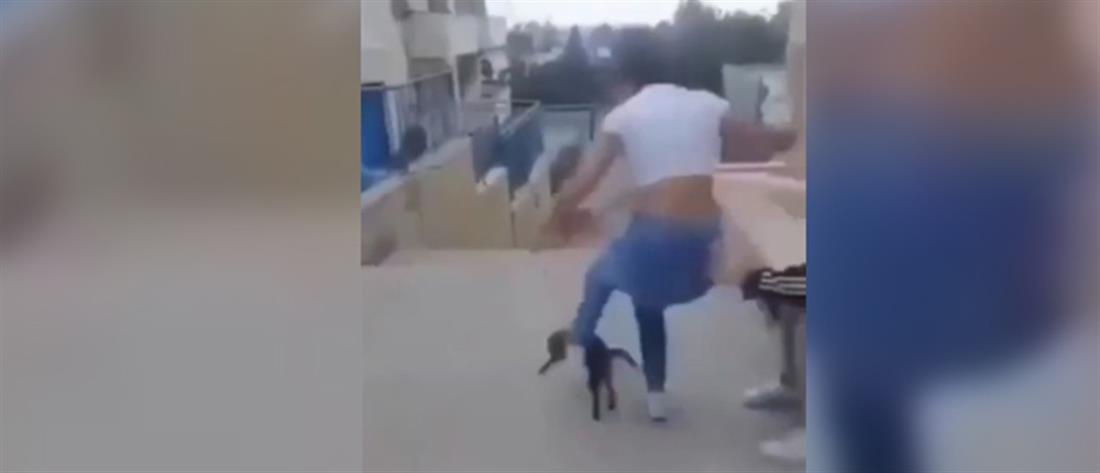 Κρήτη: Ανήλικη κλώτσησε γάτα και γελούσε με τις φίλες της (βίντεο)
