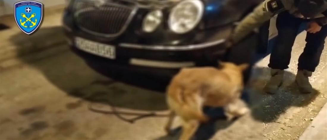 Σκύλος του Λιμενικού βρήκε όπιο κρυμμένο σε αυτοκίνητο (βίντεο)