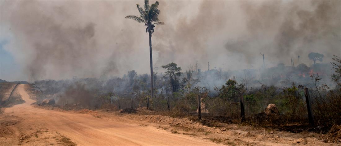 Βραζιλία: Επίσημη πρόταση στον Λεονάρντο ντι Κάπριο να δει τον Αμαζόνιο