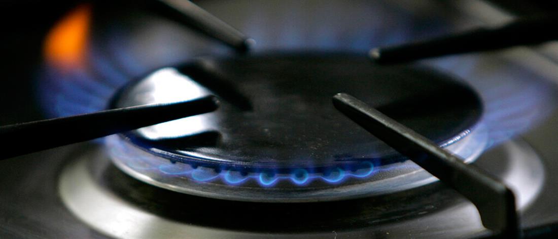 Σκρέκας: Επιδότηση για νοικοκυριά με φυσικό αέριο