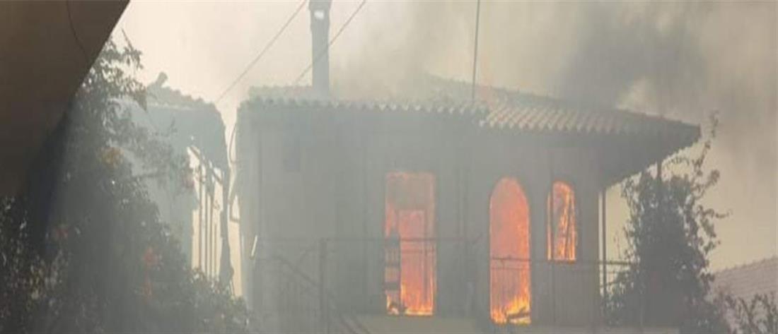 Φωτιά στην Ολυμπία: Καίγονται σπίτια, εκκενώθηκαν οικισμοί (εικόνες)