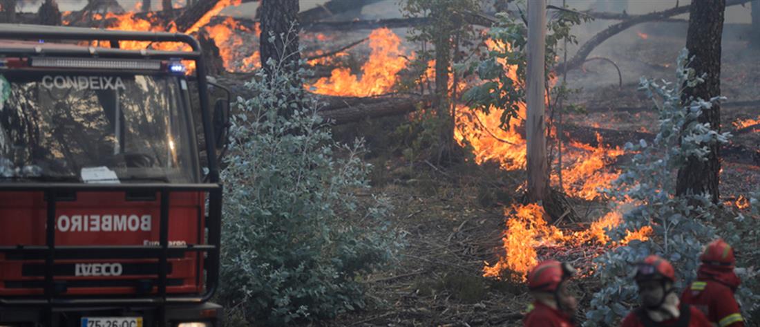 Πορτογαλία: Στο έλεος της φωτιάς και του καύσωνα (εικόνες)