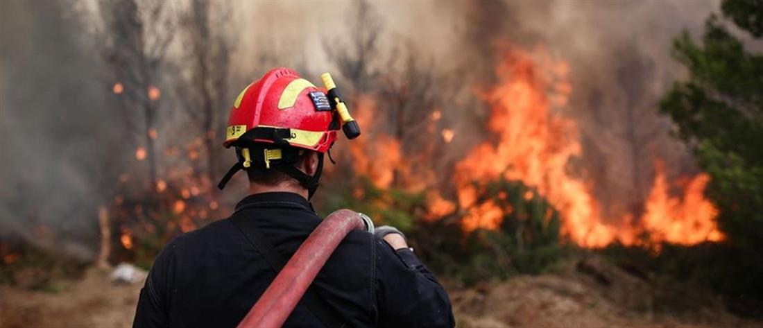 Φωτιές: τα πύρινα μέτωπα και η μάχη των πυροσβεστών