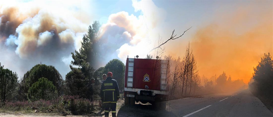 Δασικές φωτιές: μάχη σε πολλά μέτωπα από την Πυροσβεστική