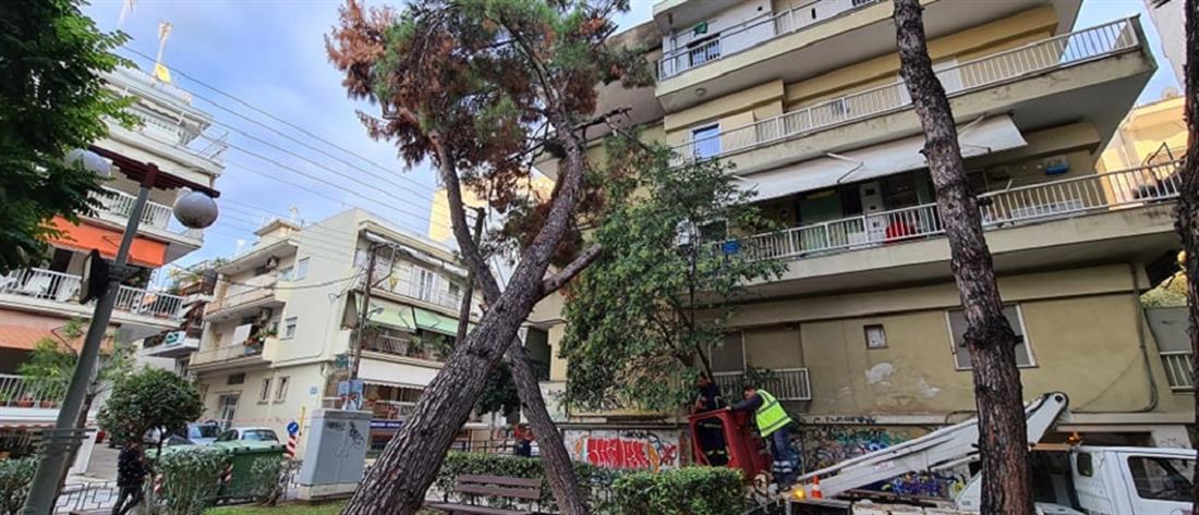 Κακοκαιρία “Μπάλλος” - Καλαμαριά: Δέντρο έπεσε πάνω σε πολυκατοικία