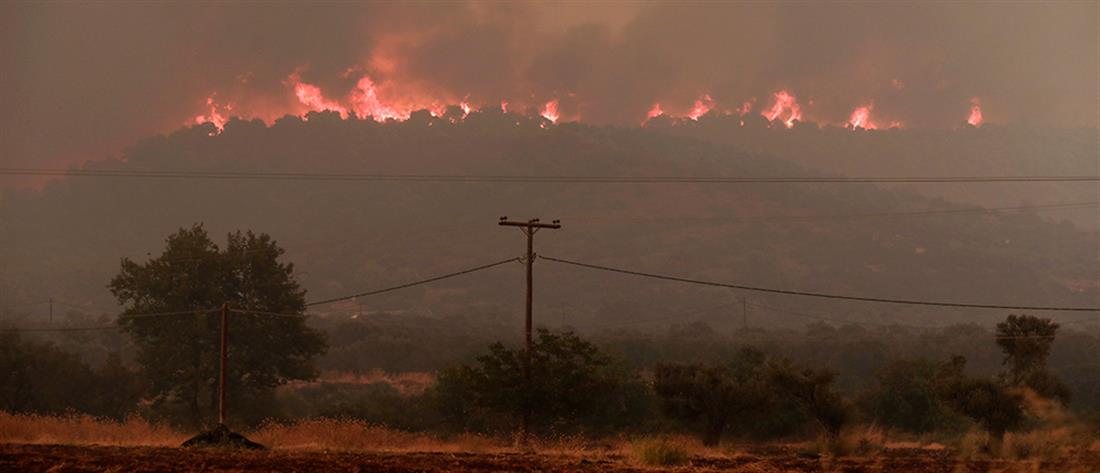 Μέγαρα: Φωτιά σε δάσος