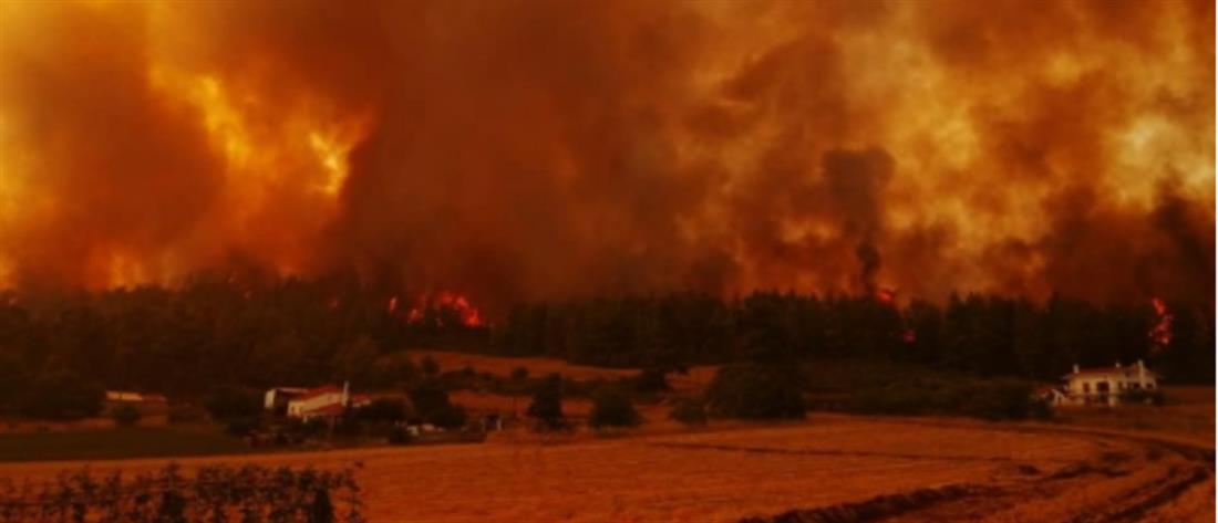 Φωτιές: εκατοντάδες χιλιάδες στρέμματα έγιναν στάχτη σε Αττική και Εύβοια