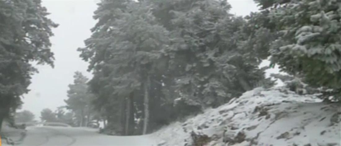 Κακοκαιρία: Τα πρώτα χιόνια στην Πάρνηθα (βίντεο)