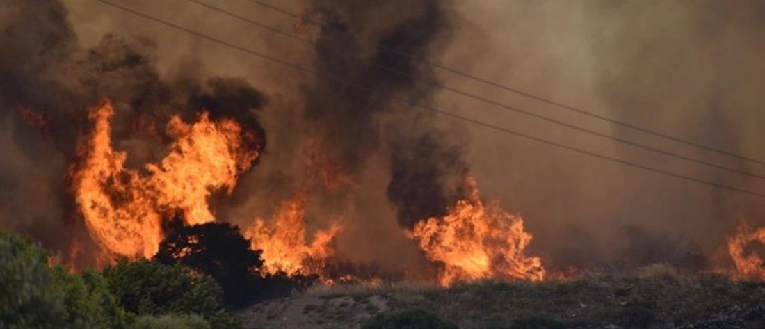 Φωτιά στην Πάρο: Διάσπαρτες εστίες - Ενισχύθηκαν οι δυνάμεις της Πυροσβεστικής (βίντεο)