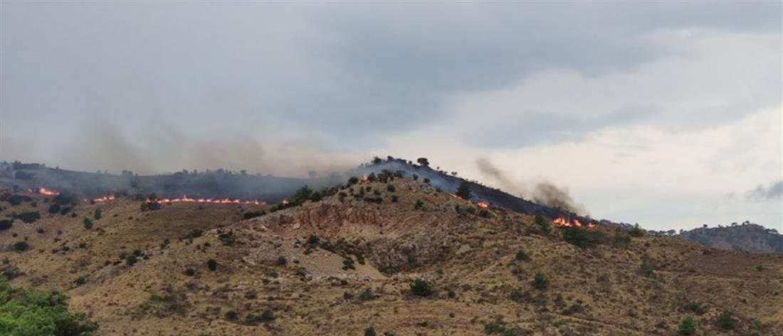 Πυρκαγιά στην Χίο (εικόνες)