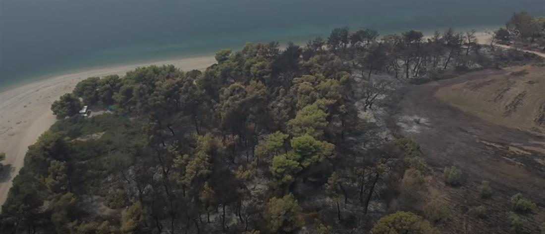 Φωτιά στην Εύβοια: Η βιβλική καταστροφή από ψηλά - Βίντεο από drone 