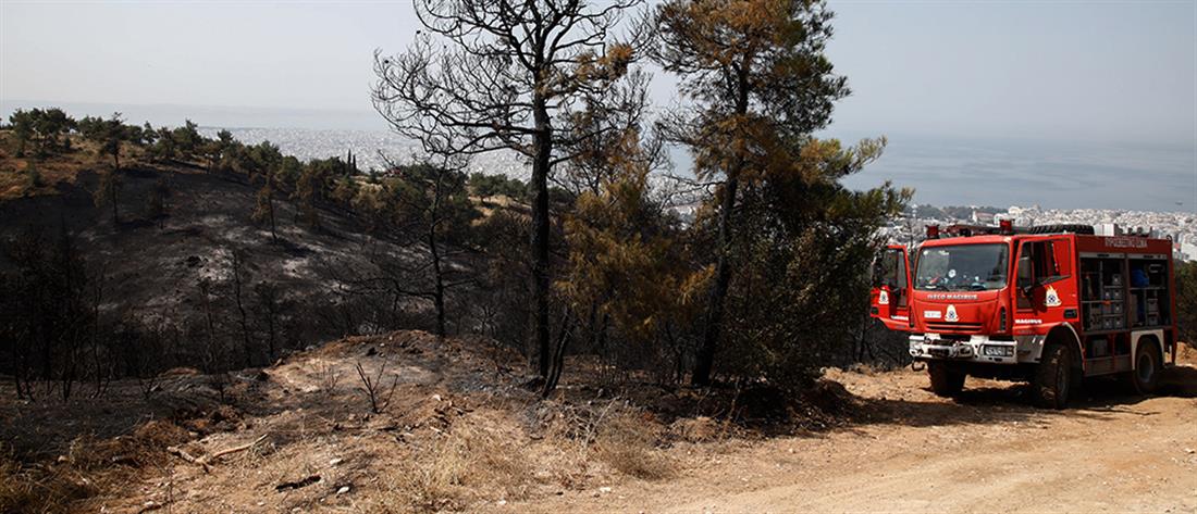 Καύσωνας: Απαγόρευση κυκλοφορίας σε δάση σε όλη τη Βόρεια Ελλάδα