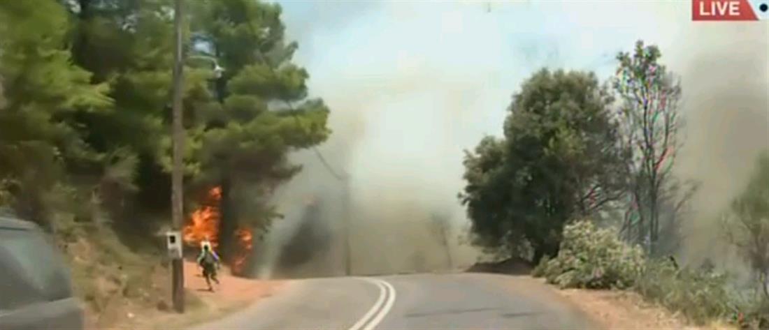 Φωτιά στην Ηλεία: η Νεμούτα σε “πύρινο κλοιό” (εικόνες)