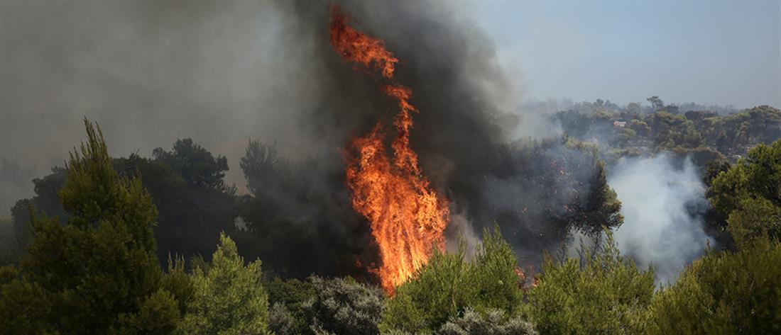 Μεγάλη φωτιά στη Μεσσηνία (εικόνες)