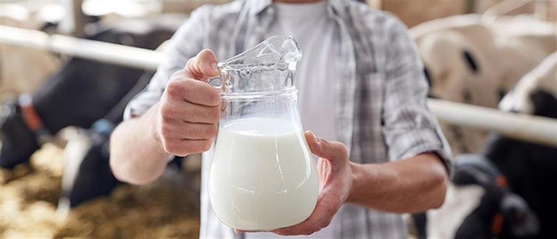 ΕΦΕΤ: Υποχρεωτική η αναγραφή της προέλευσης του γάλακτος