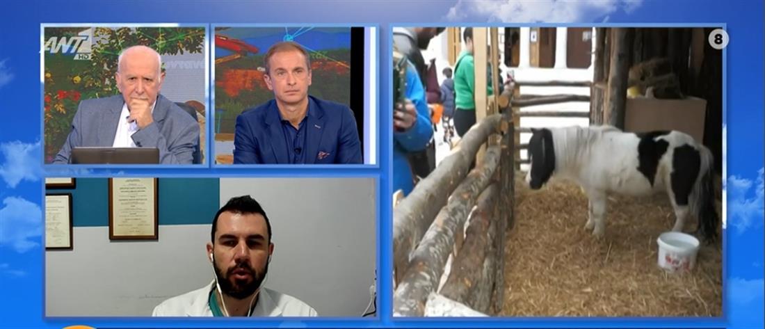 Βόλος - Ζώα στις φάτνες: Κτηνίατροι ζητούν εισαγγελική παρέμβαση