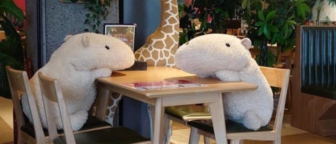 Κορονοϊός: Με λούτρινα ζωάκια στα τραπέζια τηρούν τις αποστάσεις σε εστιατόριο 
