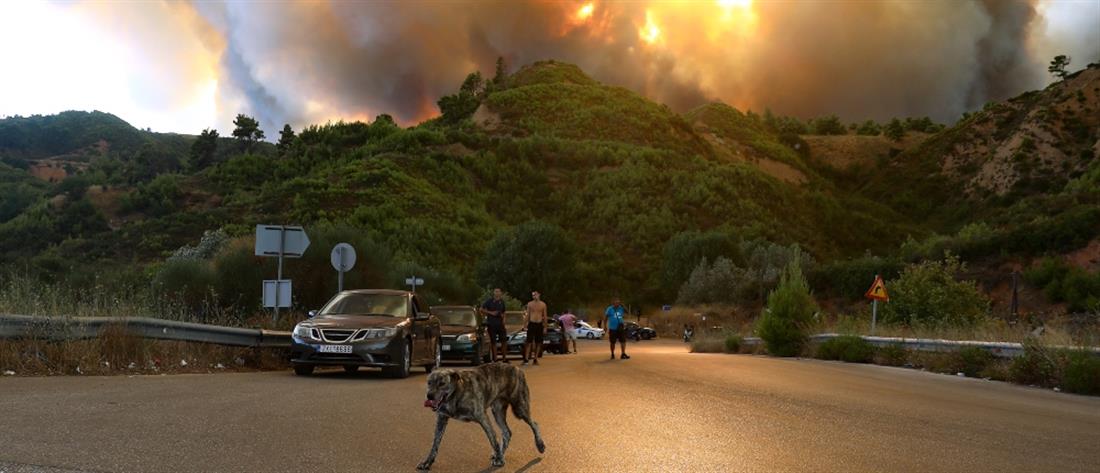 Δήμαρχος Διονύσου στον ΑΝΤ1: καίγονται σπίτια στο Κρυονέρι