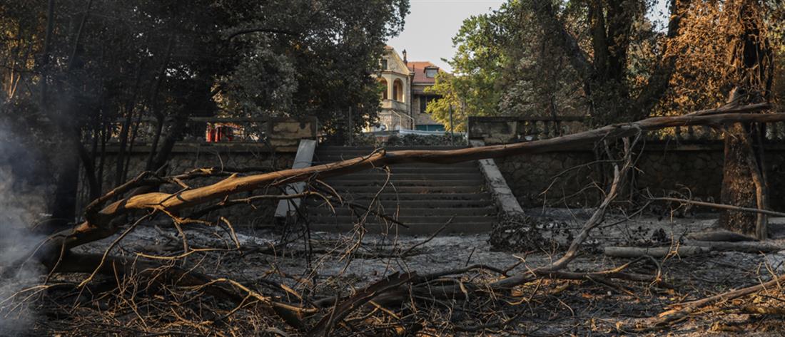 Φωτιά στο Τατόι  -  Μενδωνη: Επτά κτήρια υπέστησαν ζημιές (εικόνες)