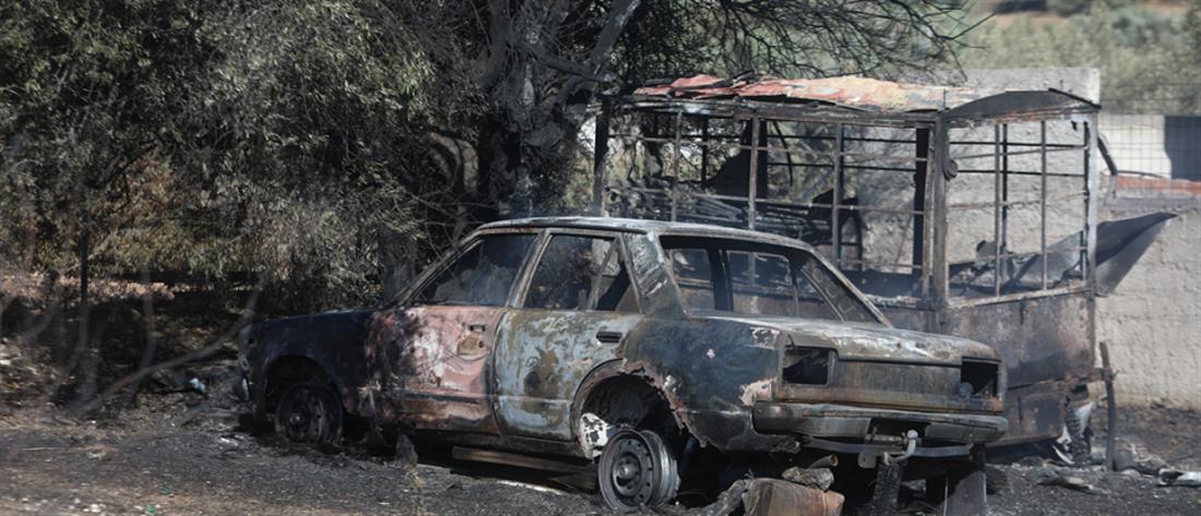 Φωτιά στα Καλύβια: καμμένα σπίτια, καταστροφές και απόγνωση (εικόνες)