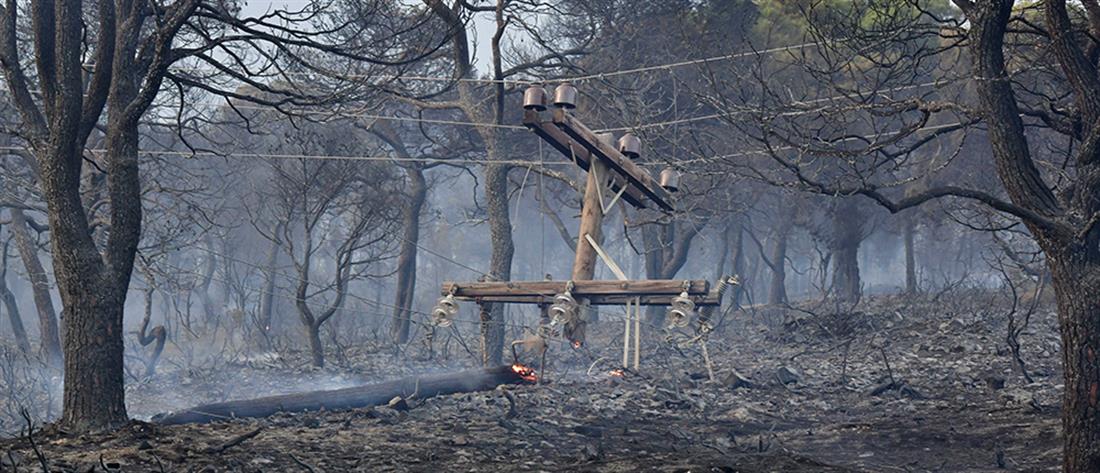 Φωτιά στα Γεράνεια Όρη - Αμυράς:  Και το τελευταίο μέτρο καμένης έκτασης θα πρασινίσει ξανά