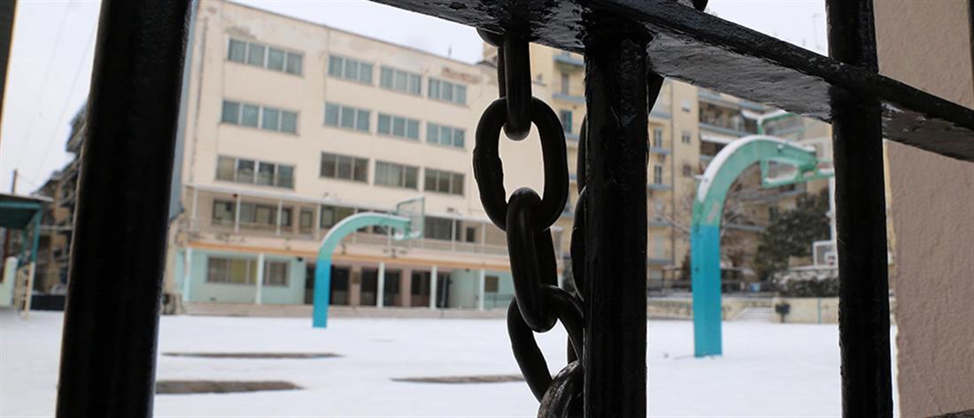 Κακοκαιρία: Mειωμένο ωράριο σε σχολεία λόγω παγετού 