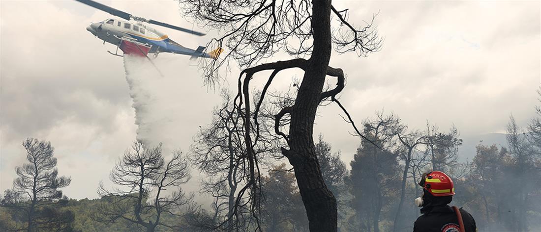 Υπ. Κλιματικής Κρίσης: 71 πυρκαγιές εκδηλώθηκαν σε 12 ώρες σε όλη τη χώρα