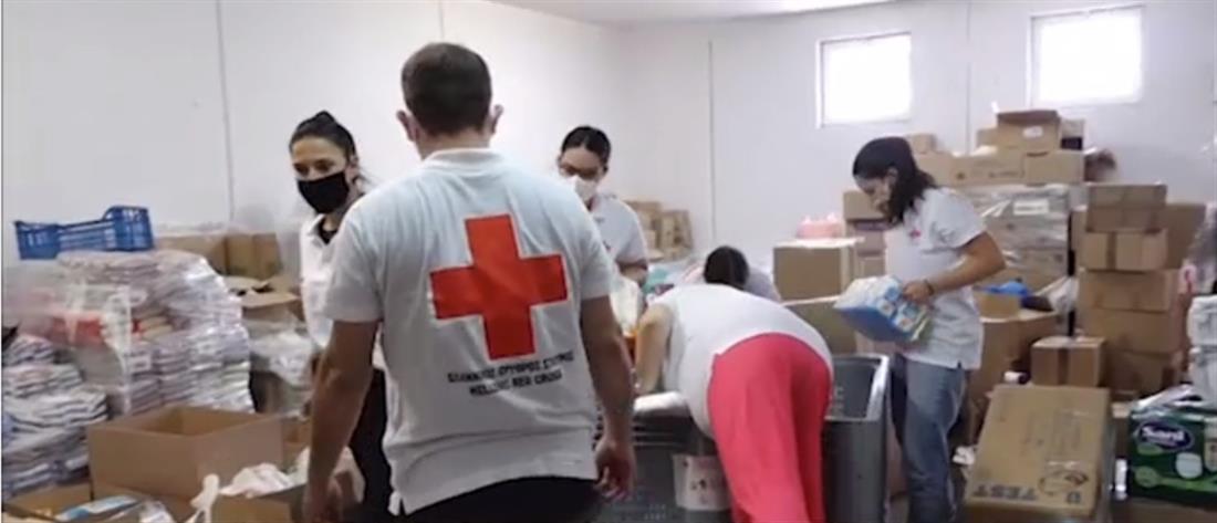 Πυρόπληκτοι: “τσουνάμι ανθρωπιάς” μετά την έκκληση ΑΝΤ1 και Ερυθρού Σταυρού (βίντεο)