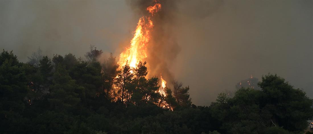 Φωτιά στα Βίλια: ανεξέλεγκτο το πύρινο μέτωπο (εικόνες)