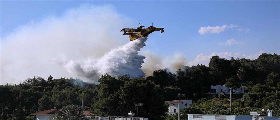 Φωτιά στα Γεράνεια Όρη - Χαρδαλιάς: πάνω από 40.000 καμένα στρέμματα