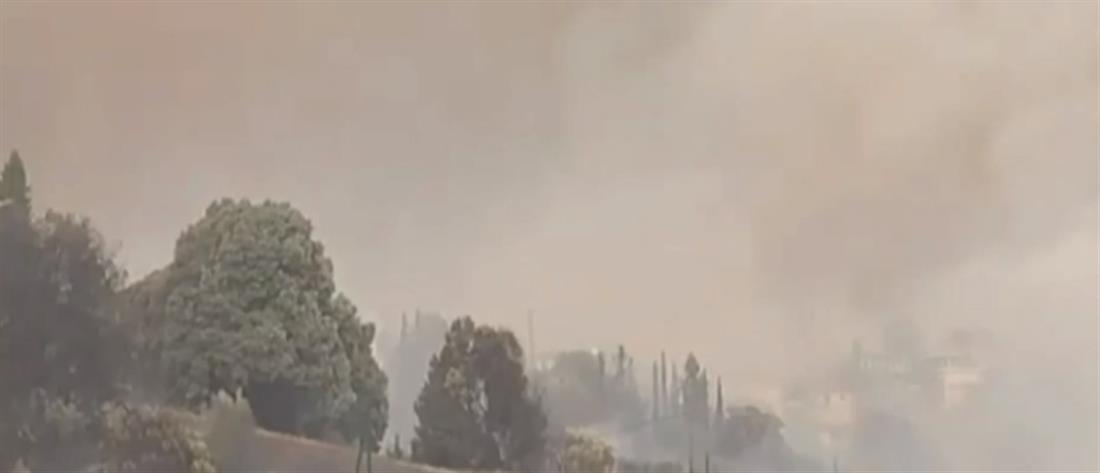 Φωτιές: Μάχη με τις αναζωπυρώσεις σε Ηλεία και Γορτυνία