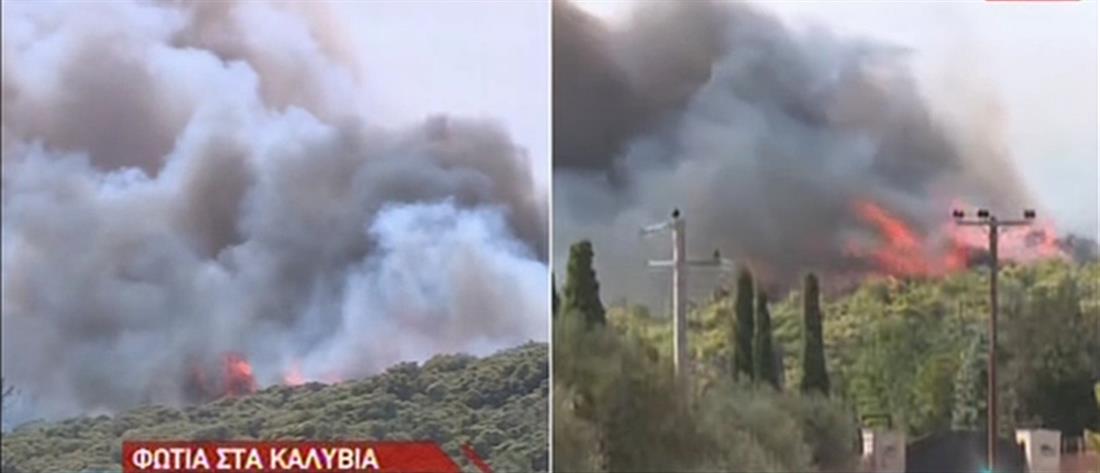 Φωτιά στα Καλύβια: εκκένωση οικισμού και διακοπή κυκλοφορίας (εικόνες)