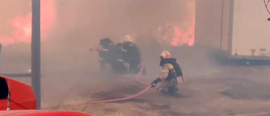Φωτιά στη Μάνη: Οι φλόγες πέρασαν από πάνω τους (εικόνες)