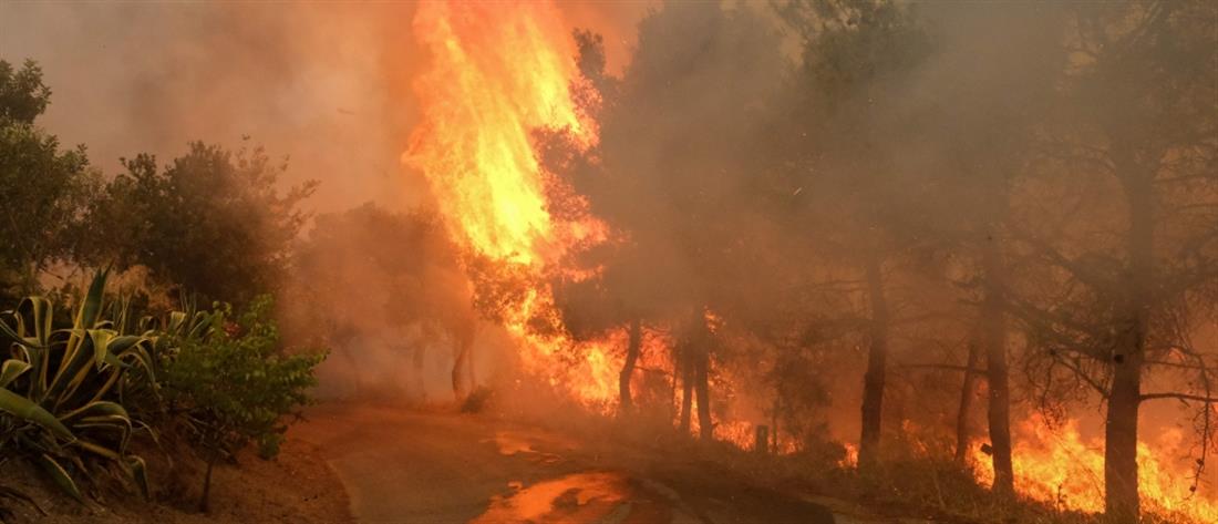 Φωτιά στα Μέγαρα: Εκκένωση οικισμών - Ενίσχυση των πυροσβεστικών δυνάμεων 
