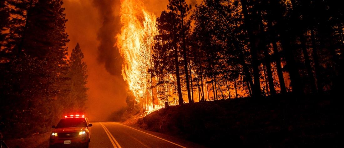 Φωτιά στην Καλιφόρνια: τραυματίες, εκκενώσεις και καταστροφές