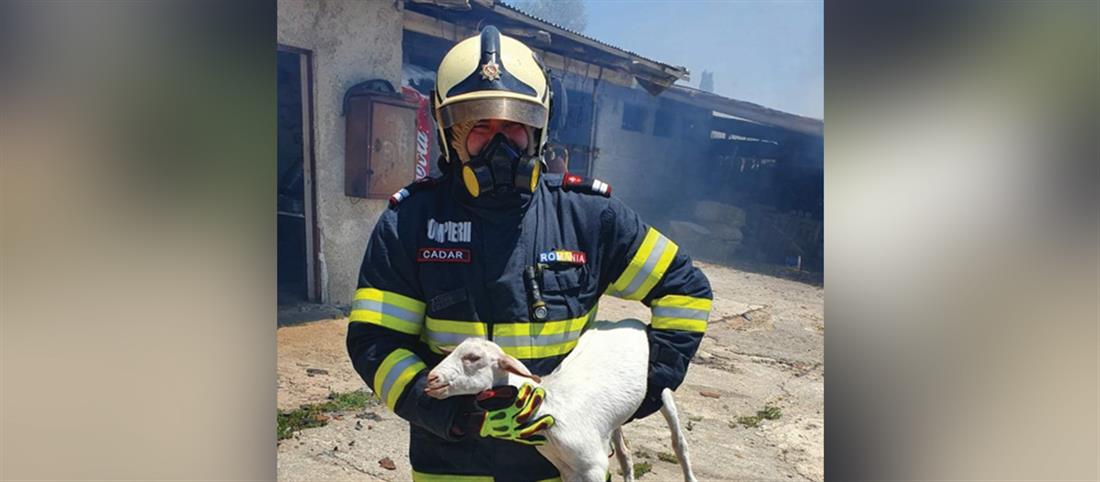 Φωτιές - Μαγνησία: Κηδεύεται ο κτηνοτρόφος που απανθρακώθηκε για να σώσει το κοπάδι του