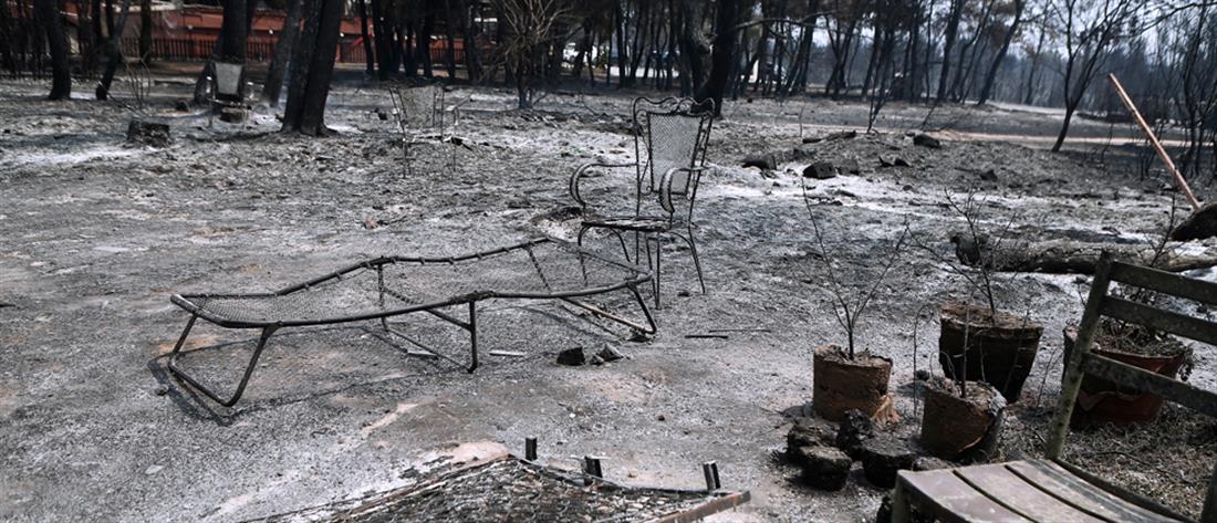 Φωτιές στην Ελλάδα: Πάνω από 1000000 στρέμματα καμμένης γης 
