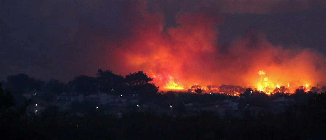 Φωτιά στην Αλεξανδρούπολη: Δύσκολη νύχτα σε τρία μέτωπα (εικόνες)