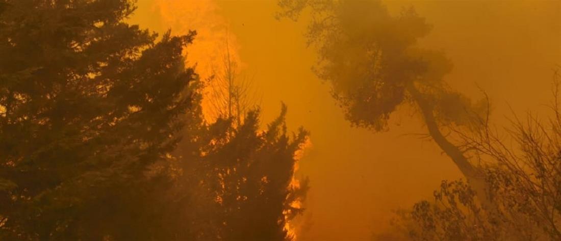 Φωτιά στην Σταμάτα: εκκενώνονται οικισμοί - φόβοι για τα σπίτια (εικόνες)