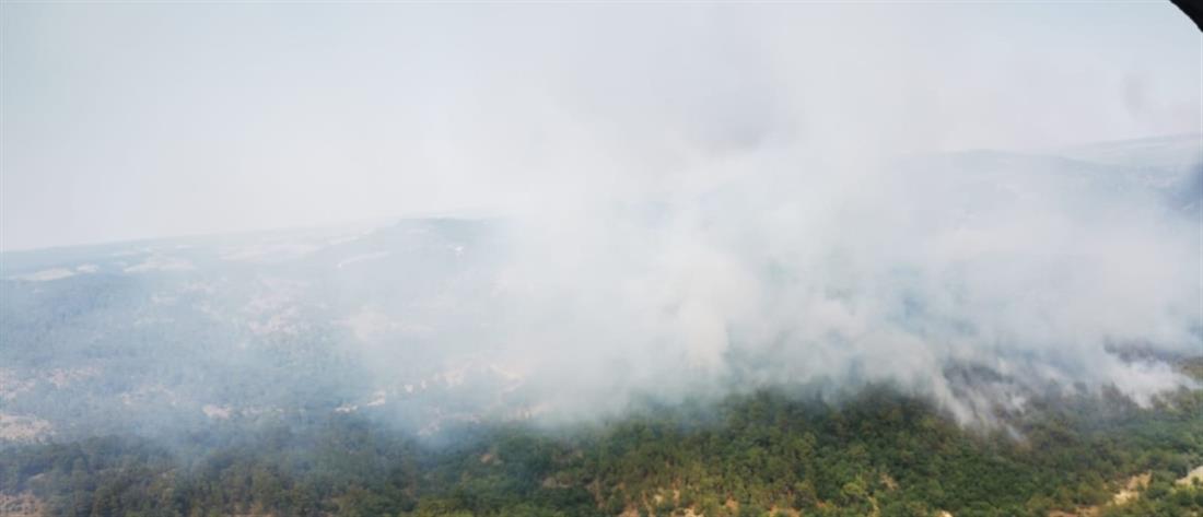 Φωτιές: Δεκάδες χιλιάδες στρέμματα κάηκαν σε Δαδιά και Βατερά (εικόνες)
