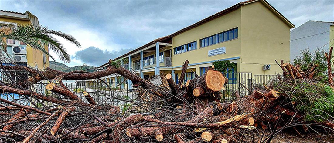 Κακοκαιρία στην Λέσβο: Πτώσεις δένδρων και ζημιές (εικόνες)