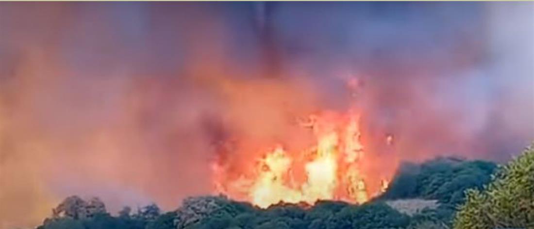 Φωτιά στον Έβρο: Συνεχείς αναζωπυρώσεις - Εκκενώνονται οι περιοχές Γιαννούλη και Σιδηρώ