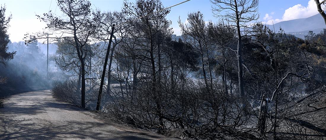 Φωτιά στα Γεράνεια Όρη: Drone αποτυπώνουν την καταστροφή