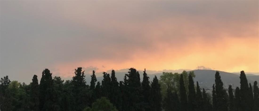 Φωτιά στην Εύβοια: εκκένωση περιοχών ζήτησε η Πυροσβεστική