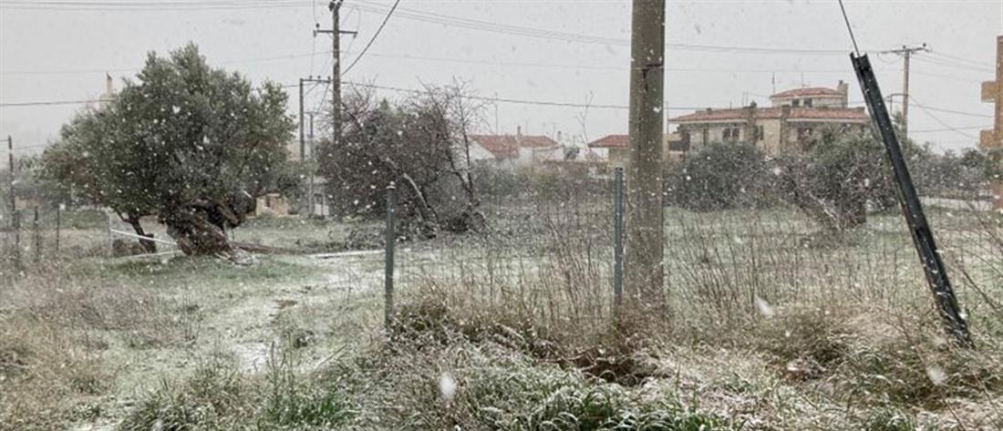 Χιονίζει στην Αθήνα! (εικόνες)