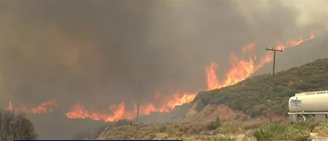Φωτιά στην Κάρυστο: Καίγονται σπίτια στον Πλατανιστό (βίντεο)