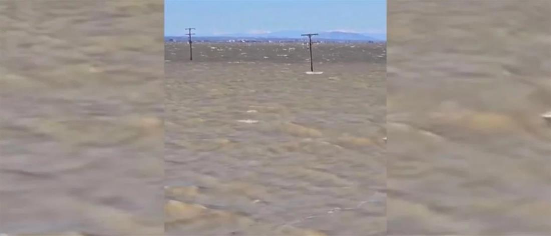 Κακοκαιρία - Κάρλα: Φουρτουρνιασμένη λίμνη έχει κατακλύσει τα χωράφια (βίντεο)